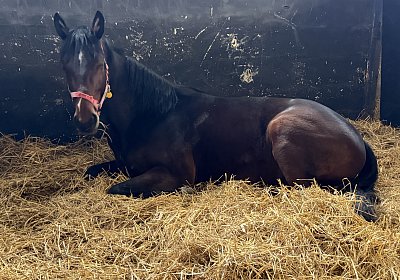 0 IMG 6825 Its Showtime