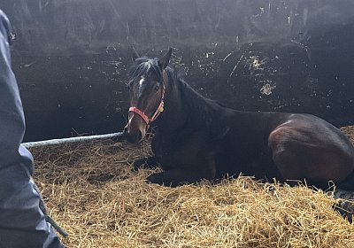 0 IMG 6831 Its Showtime