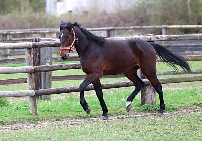 9N1A4979 Its Showtime