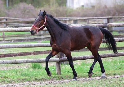 9N1A4984 Its Showtime