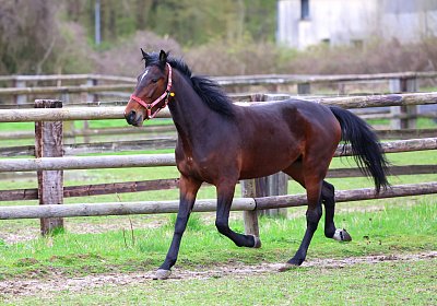 9N1A4986 Its Showtime