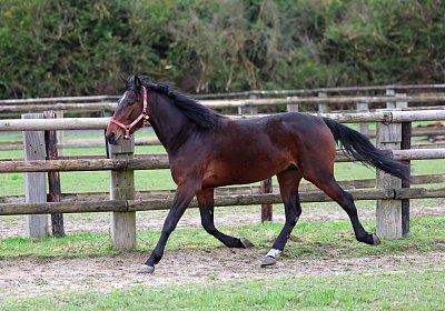 9N1A5010 Its Showtime