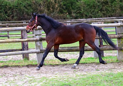 9N1A5020 Its Showtime