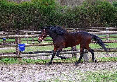 9N1A5026 Its Showtime