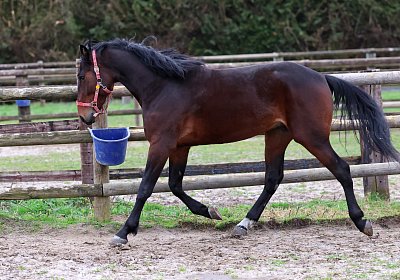 9N1A5031 Its Showtime