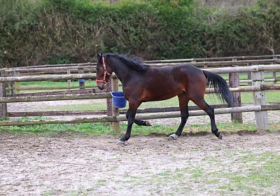 9N1A5032 Its Showtime