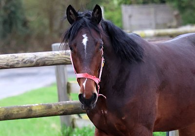 9N1A5038 Its Showtime