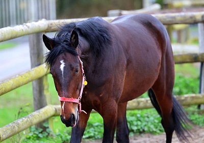 9N1A5041 Its Showtime