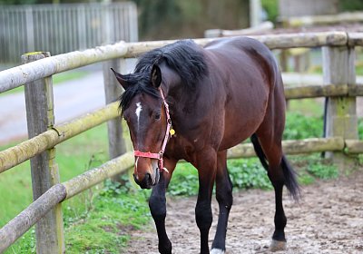 9N1A5042 Its Showtime