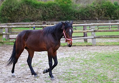 9N1A5045 Its Showtime