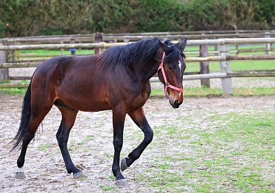 9N1A5046 Its Showtime