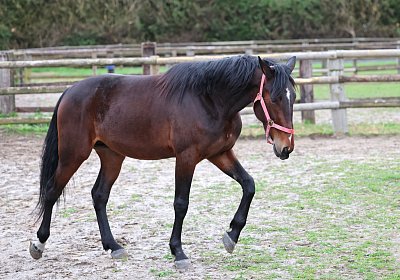 9N1A5047 Its Showtime