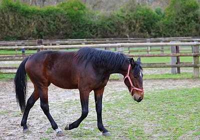 9N1A5053 Its Showtime