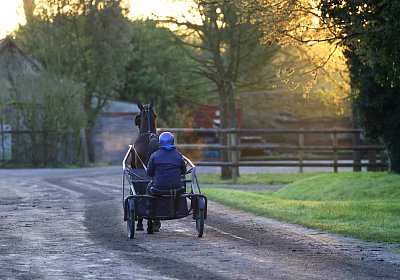 9N1A5798 Its Showtime