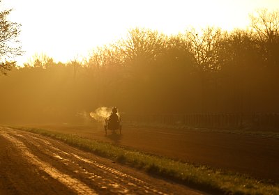 9N1A5802 Its Showtime