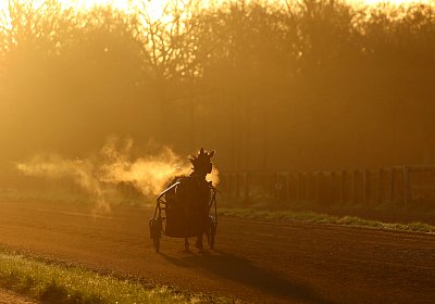 9N1A5803 Its Showtime