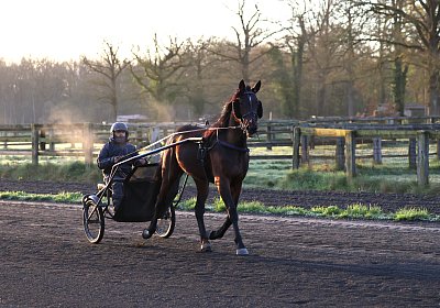 9N1A5819 Its Showtime