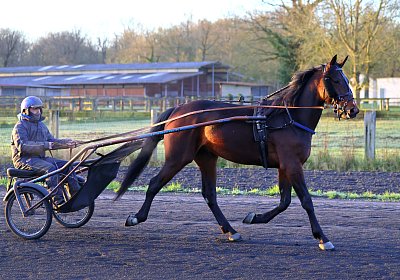 9N1A5858 Its Showtime