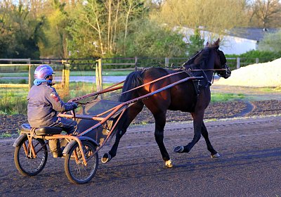 9N1A5907 Its Showtime