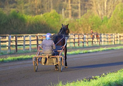 9N1A5925 Its Showtime