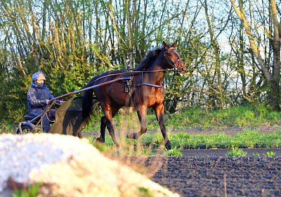 9N1A5931 Its Showtime