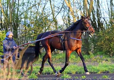 9N1A5939 Its Showtime