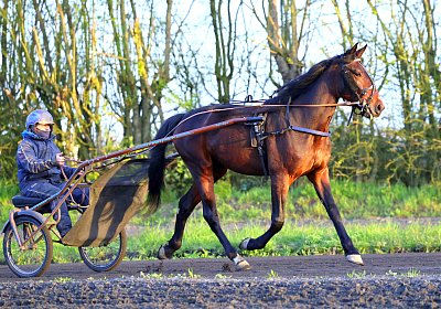 9N1A5957 Its Showtime