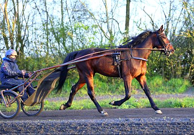 9N1A5975 Its Showtime