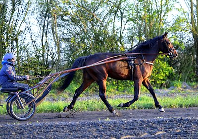 9N1A6019 Its Showtime