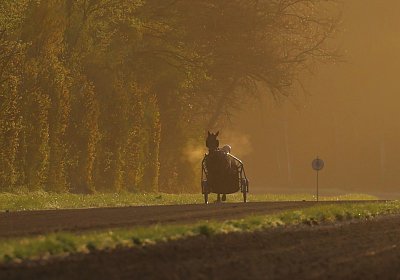 9N1A6052 Its Showtime