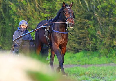 9N1A6060 Its Showtime