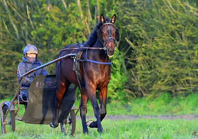 9N1A6065 Its Showtime