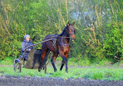 9N1A6075 Its Showtime