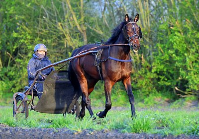 9N1A6080 Its Showtime