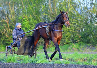 9N1A6083 Its Showtime