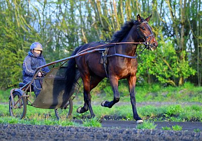 9N1A6097 Its Showtime