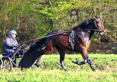 9N1A9081 Its Showtime