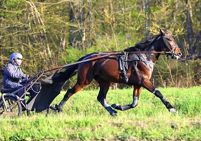 9N1A9088 Its Showtime