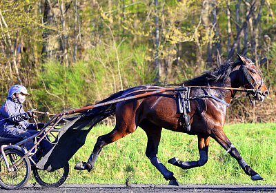 9N1A9205 Its Showtime