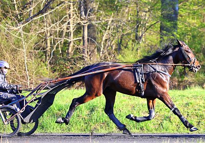 9N1A9213 Its Showtime