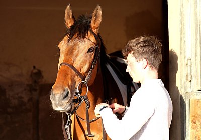 Strassburg 2026 04 18 9N1A4059 Almi