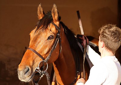 Strassburg 2026 04 18 9N1A4069 Almi