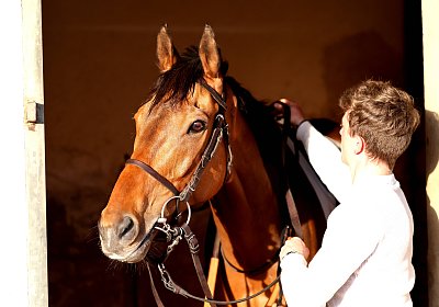 Strassburg 2026 04 18 9N1A4070 Almi