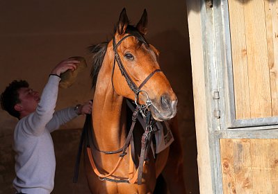 Strassburg 2026 04 18 9N1A4101 Almi