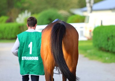 Strassburg 2026 04 18 9N1A4139 Almi