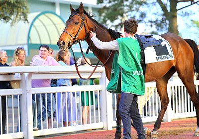 Strassburg 2026 04 18 9N1A4160 Almi