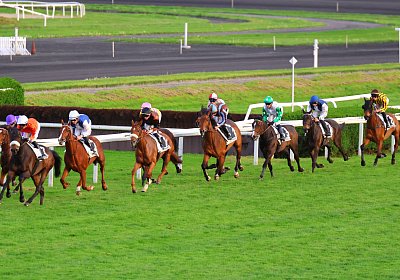 Strassburg 2026 04 18 9N1A4282 Almi