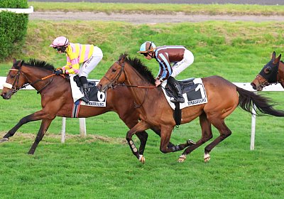 Strassburg 2026 04 18 9N1A4366 Almi