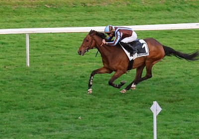 Strassburg 2026 04 18 9N1A4511 Almi