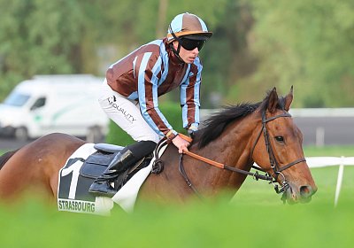 Strassburg 2026 04 18 9N1A4558 Almi